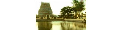 15. திருச்சேறை